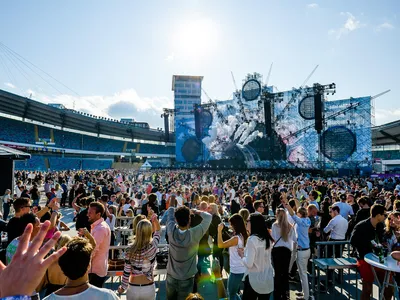 Picture of Summerburst