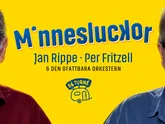 Minnesluckor