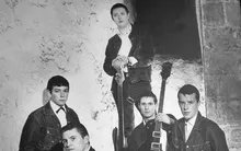 The Animals
