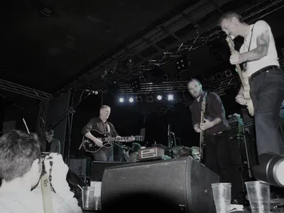 Picture of Swans