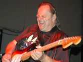 Walter Trout