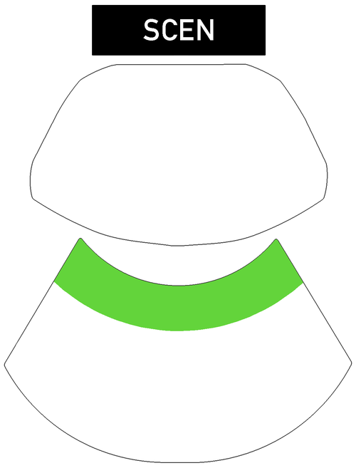 Kategori 1