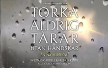 Torka aldrig tårar utan handskar