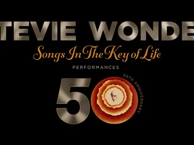 Picture of Stevie Wonder