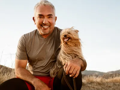 Bild av Cesar Millan