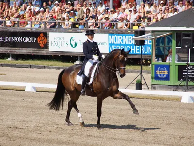 Falsterbo Horse Show