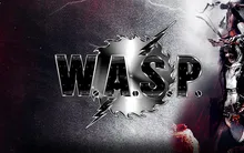 W.A.S.P.