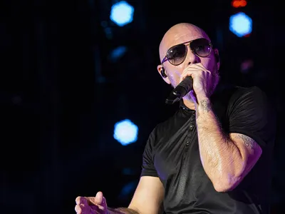 Bild av Pitbull