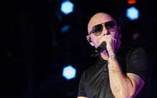 Pitbull