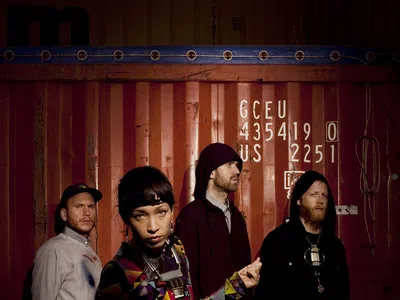 Picture of Little Dragon