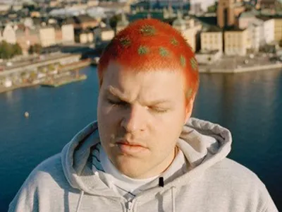 Bild av Hannes